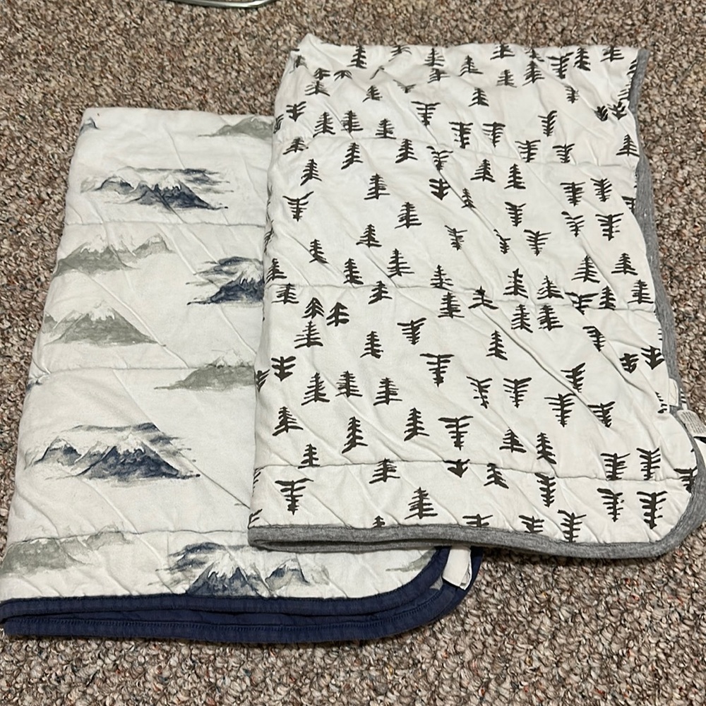 2 Burts Bees baby blankets